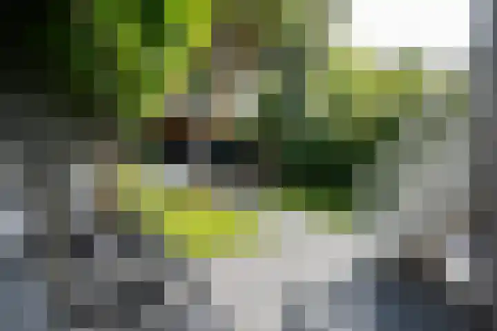 Stationssingel 6 Culemborg thumbnail 28