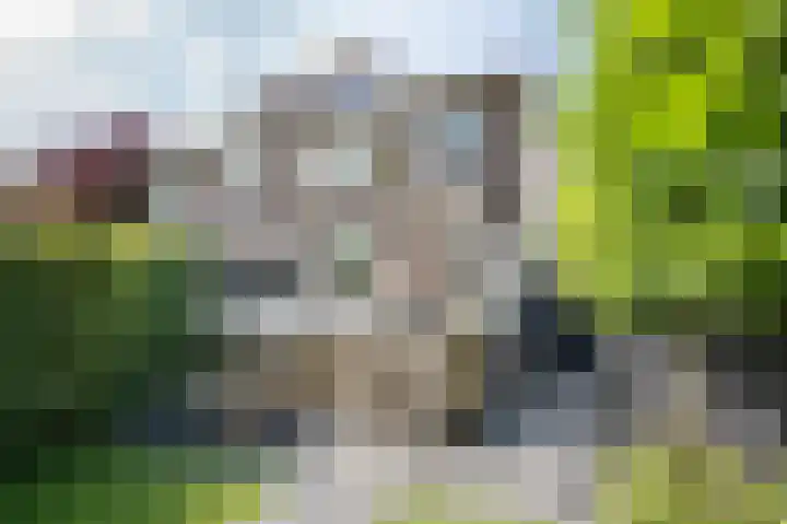 Stationssingel 6 Culemborg thumbnail 29