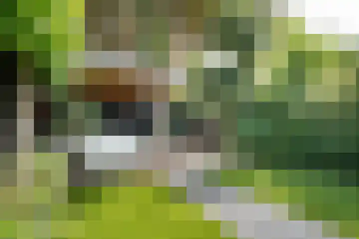 Stationssingel 6 Culemborg thumbnail 31