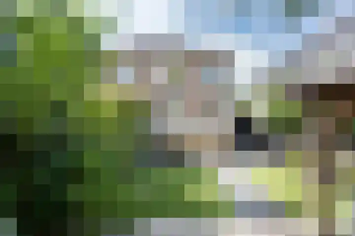 Stationssingel 6 Culemborg thumbnail 33