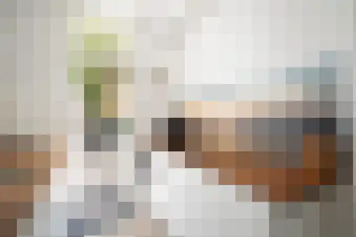 Stationssingel 6 Culemborg thumbnail 5