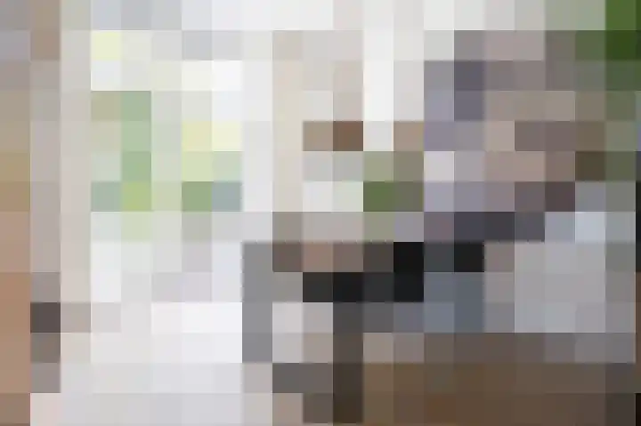 Stationssingel 6 Culemborg thumbnail 7