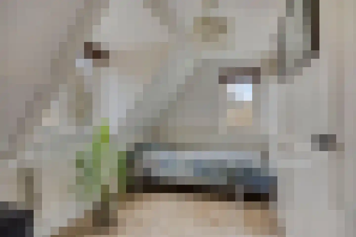 Stationssingel 66 Veenendaal thumbnail 26