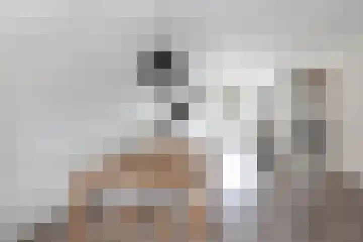Stationssingel 68 Berkel en Rodenrijs thumbnail 15