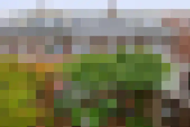 Stationssingel 68 Berkel en Rodenrijs thumbnail 34