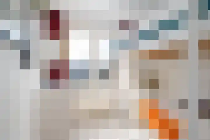 Stationssingel 69 A Rotterdam thumbnail 30