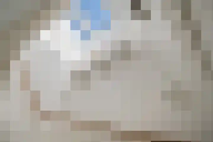 Stationssingel 69 A Rotterdam thumbnail 35