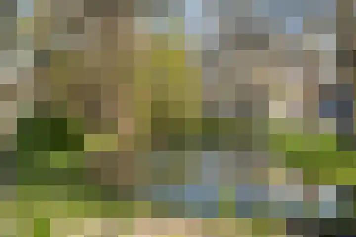 Stationssingel 69 A Rotterdam thumbnail 44