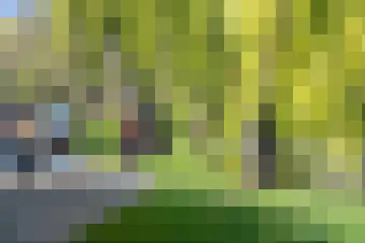 Stationssingel 69 A Rotterdam thumbnail 45