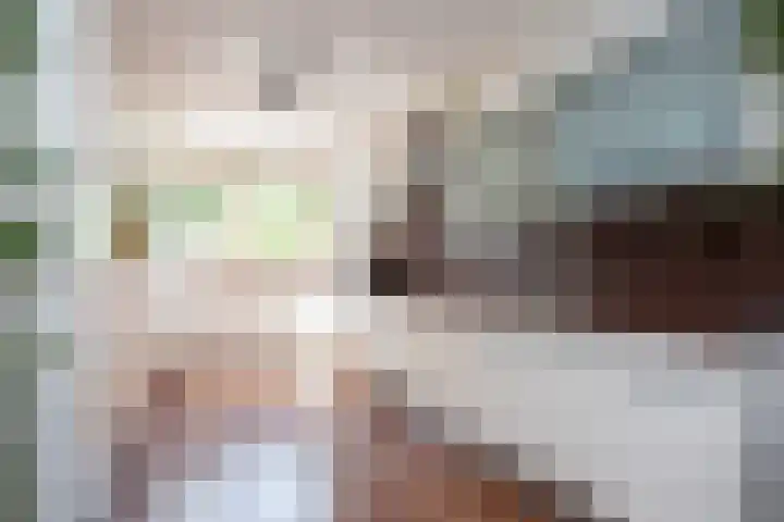 Stationssingel 70 Berkel en Rodenrijs thumbnail 15