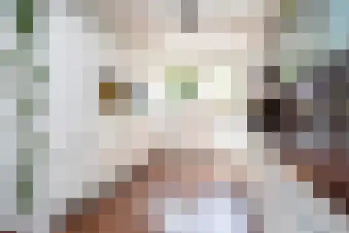 Stationssingel 70 Berkel en Rodenrijs thumbnail 16