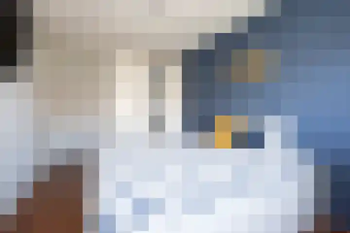 Stationssingel 70 Berkel en Rodenrijs thumbnail 20