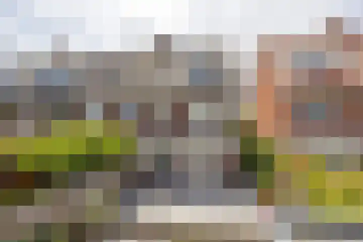 Stationssingel 70 Berkel en Rodenrijs thumbnail 40