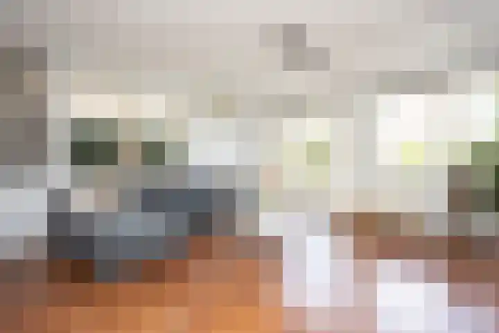 Stationssingel 70 Berkel en Rodenrijs thumbnail 8