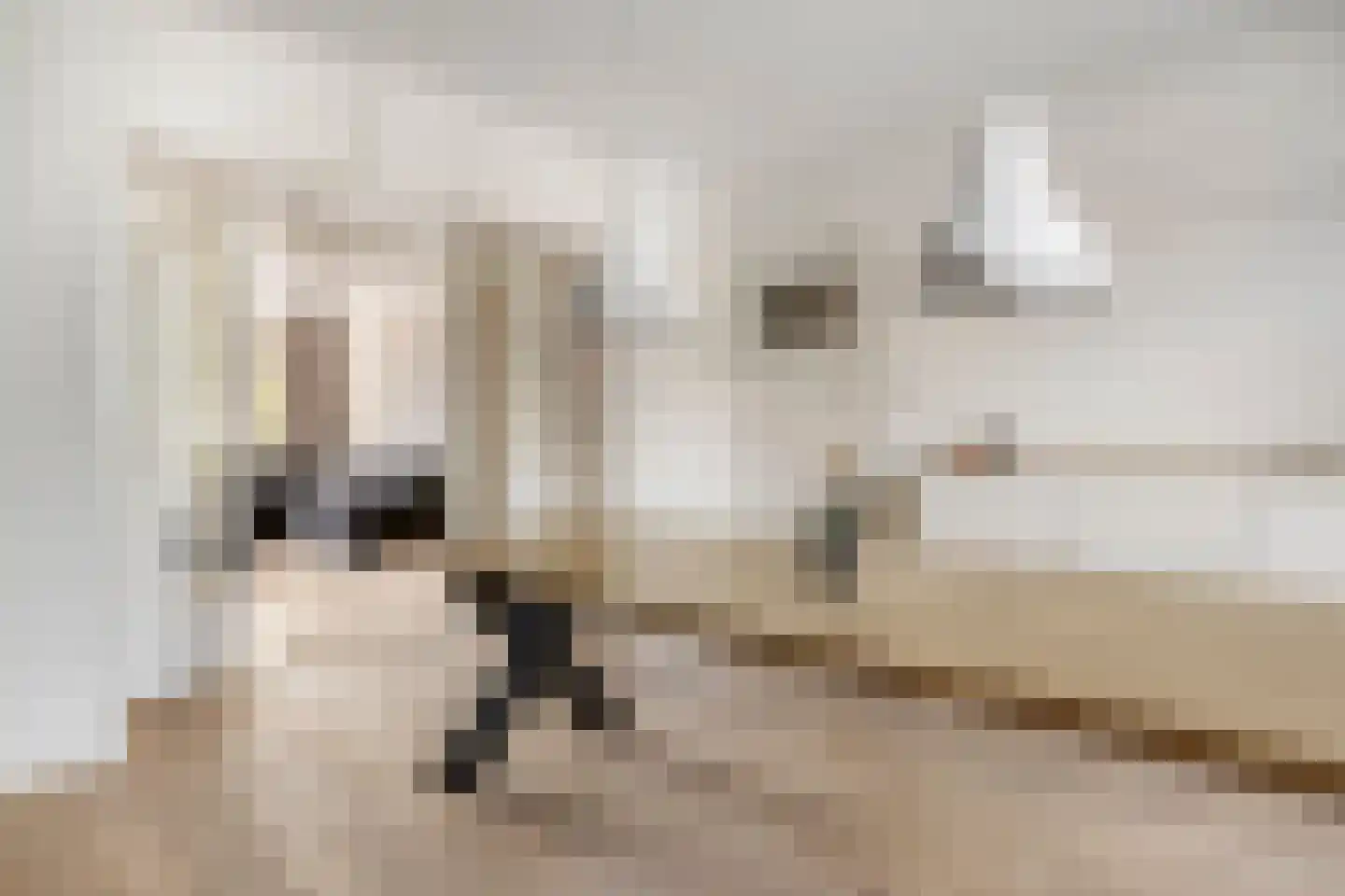 Stationssingel 71 C Rotterdam thumbnail 9