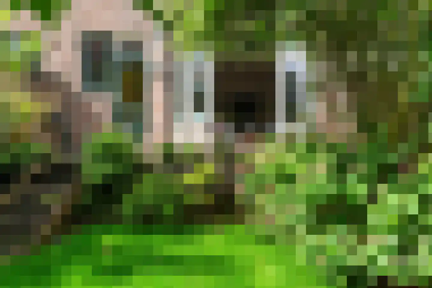 Stationssingel 81 C Rotterdam thumbnail 18