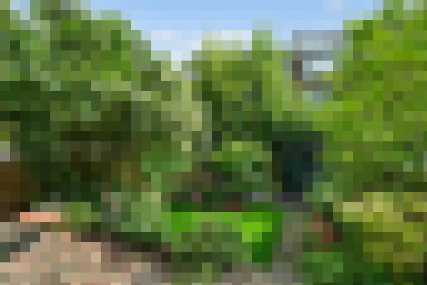 Stationssingel 81 C Rotterdam thumbnail 20