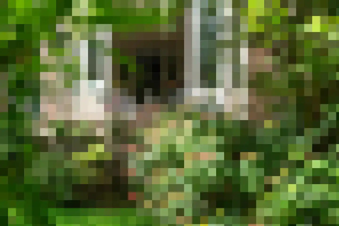 Stationssingel 81 C Rotterdam thumbnail 4