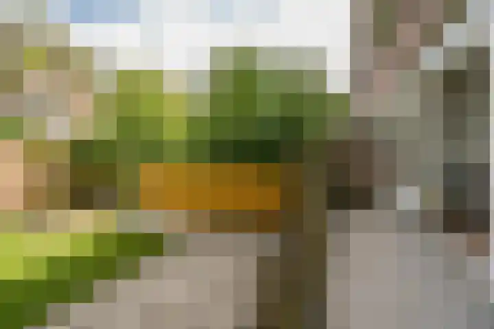 Stationssingel 83 B Rotterdam thumbnail 10