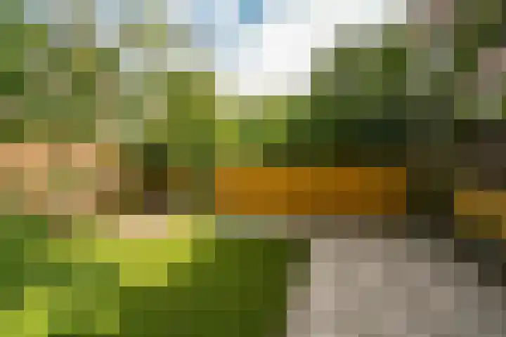 Stationssingel 83 B Rotterdam thumbnail 11