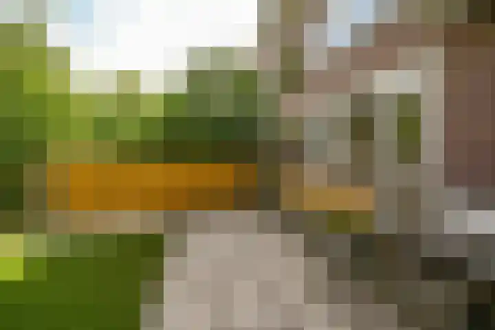 Stationssingel 83 B Rotterdam thumbnail 13
