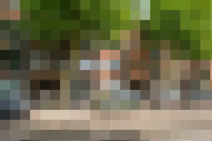Stationssingel 83 B Rotterdam thumbnail 25