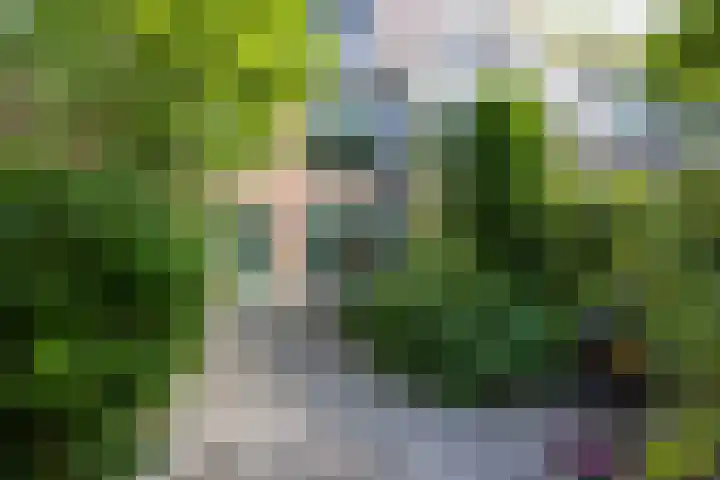 Stationssingel 9 B Rotterdam thumbnail 31