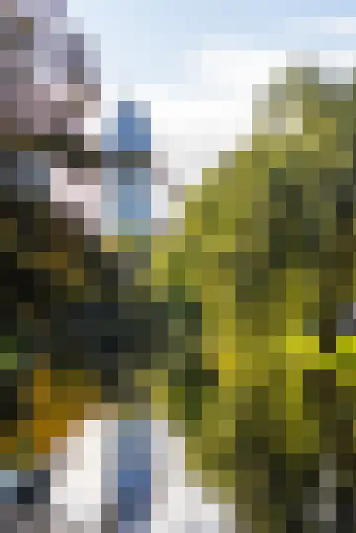 Stationssingel 9 B Rotterdam thumbnail 32