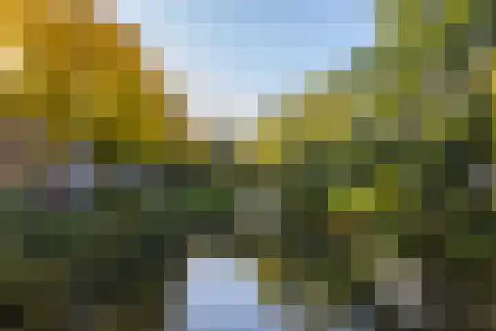 Stationssingel 9 B Rotterdam thumbnail 34