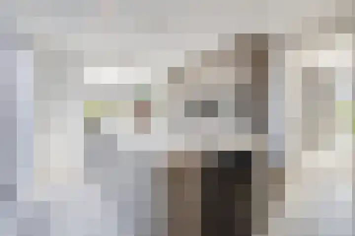 Stationssingel 9 B Rotterdam thumbnail 38