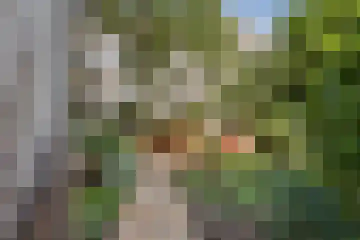 Stationssingel 91 C Rotterdam thumbnail 18