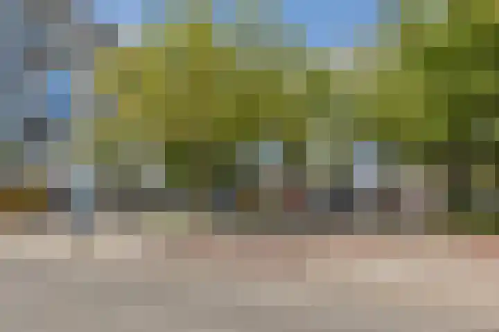 Stationssingel 91 C Rotterdam thumbnail 26