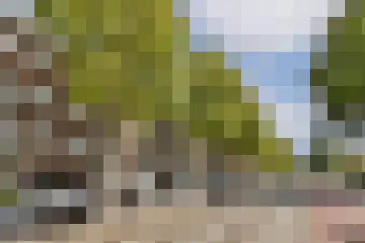 Stationssingel 91 C Rotterdam thumbnail 5