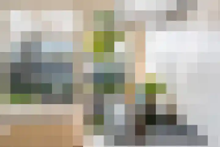 Stationssingel 95 A Rotterdam thumbnail 15