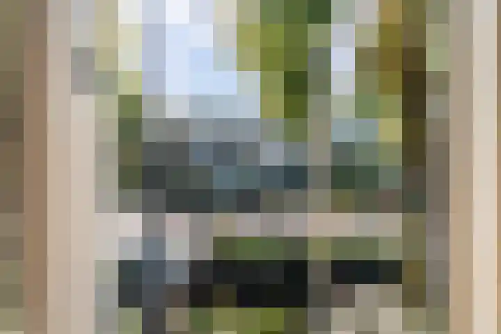Stationssingel 95 A Rotterdam thumbnail 16