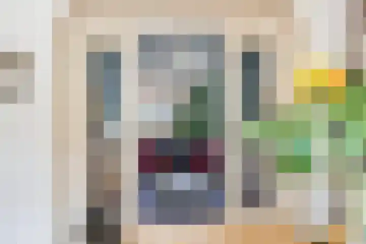 Stationssingel 95 A Rotterdam thumbnail 17