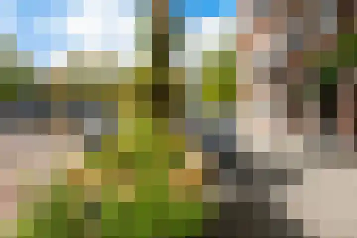 Stationssingel 95 A Rotterdam thumbnail 34