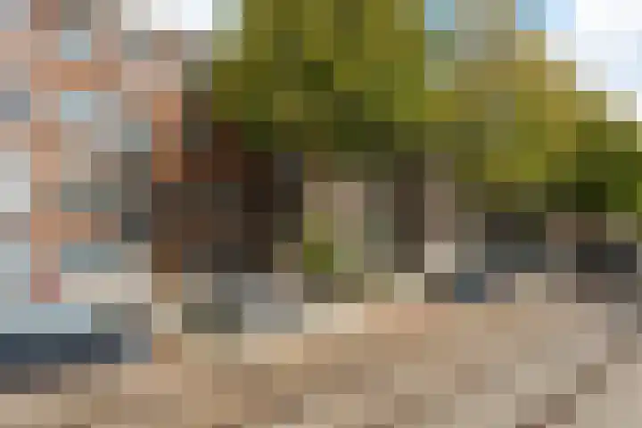 Stationssingel 95 A Rotterdam thumbnail 37