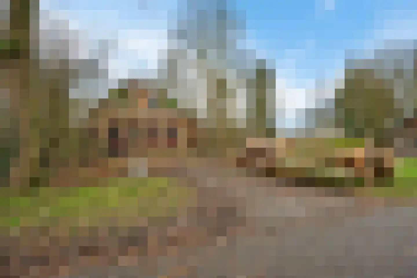 Stationsstraat 1 Buinen thumbnail 6