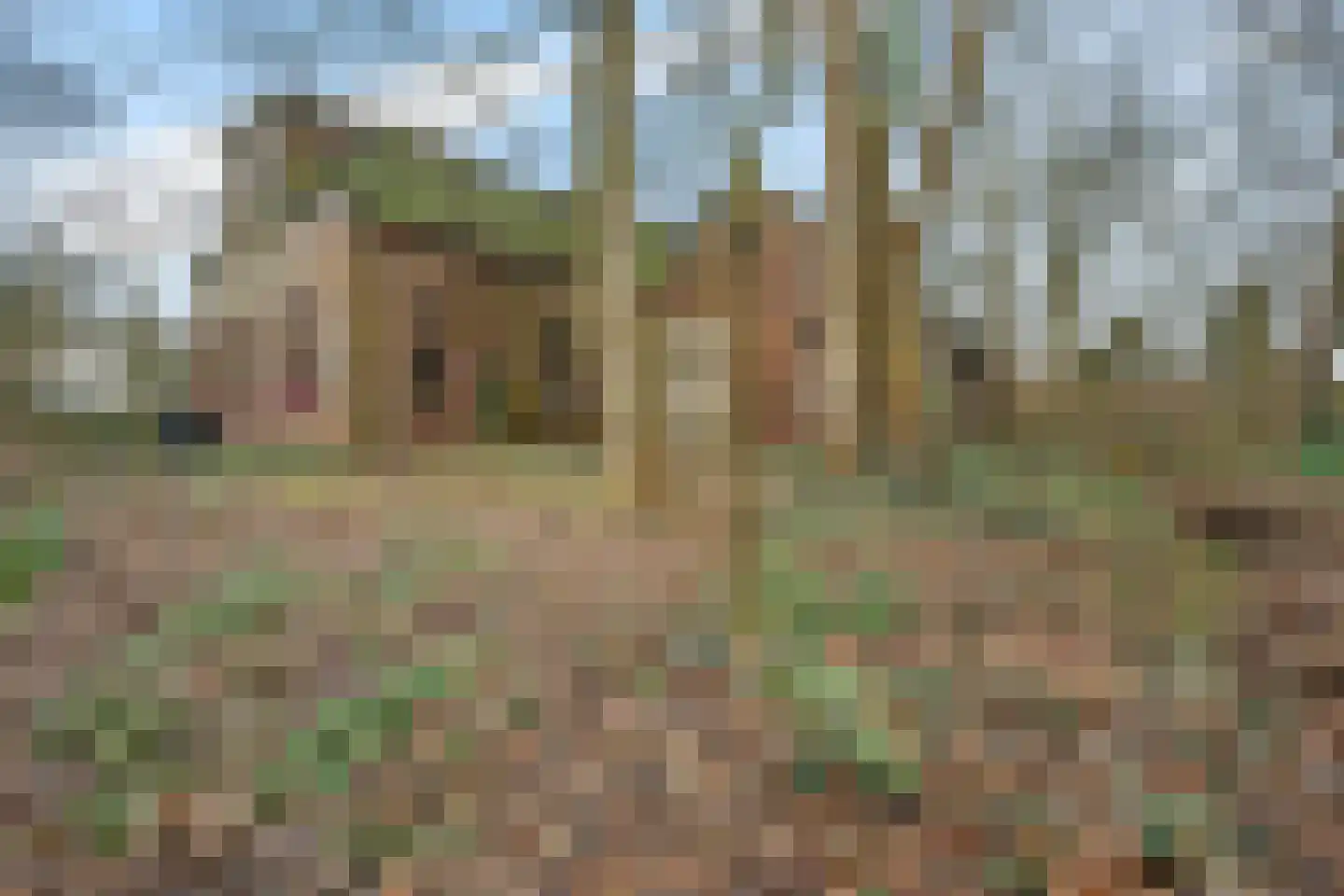 Stationsstraat 1 Buinen thumbnail 7