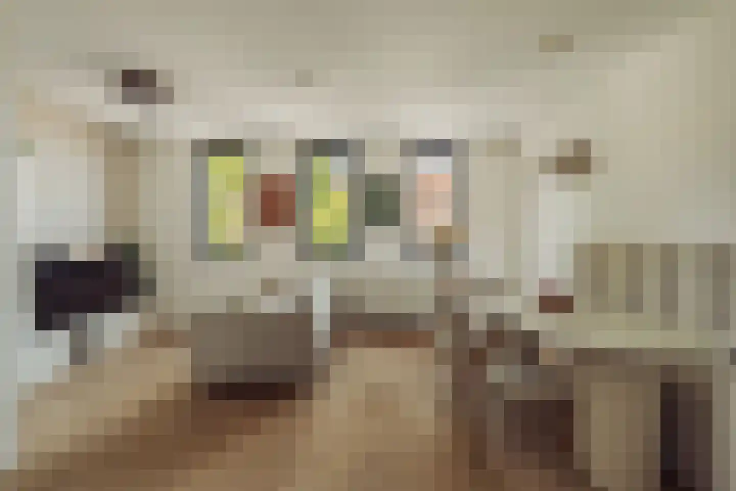 Stationsstraat 1 H Zaandam thumbnail 12