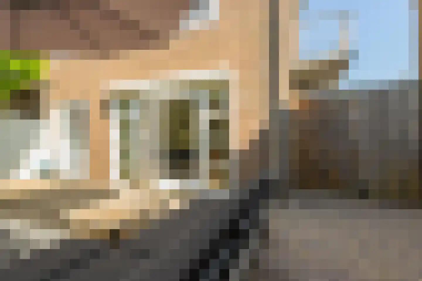 Stationsstraat 1 Hardinxveld-Giessendam thumbnail 19