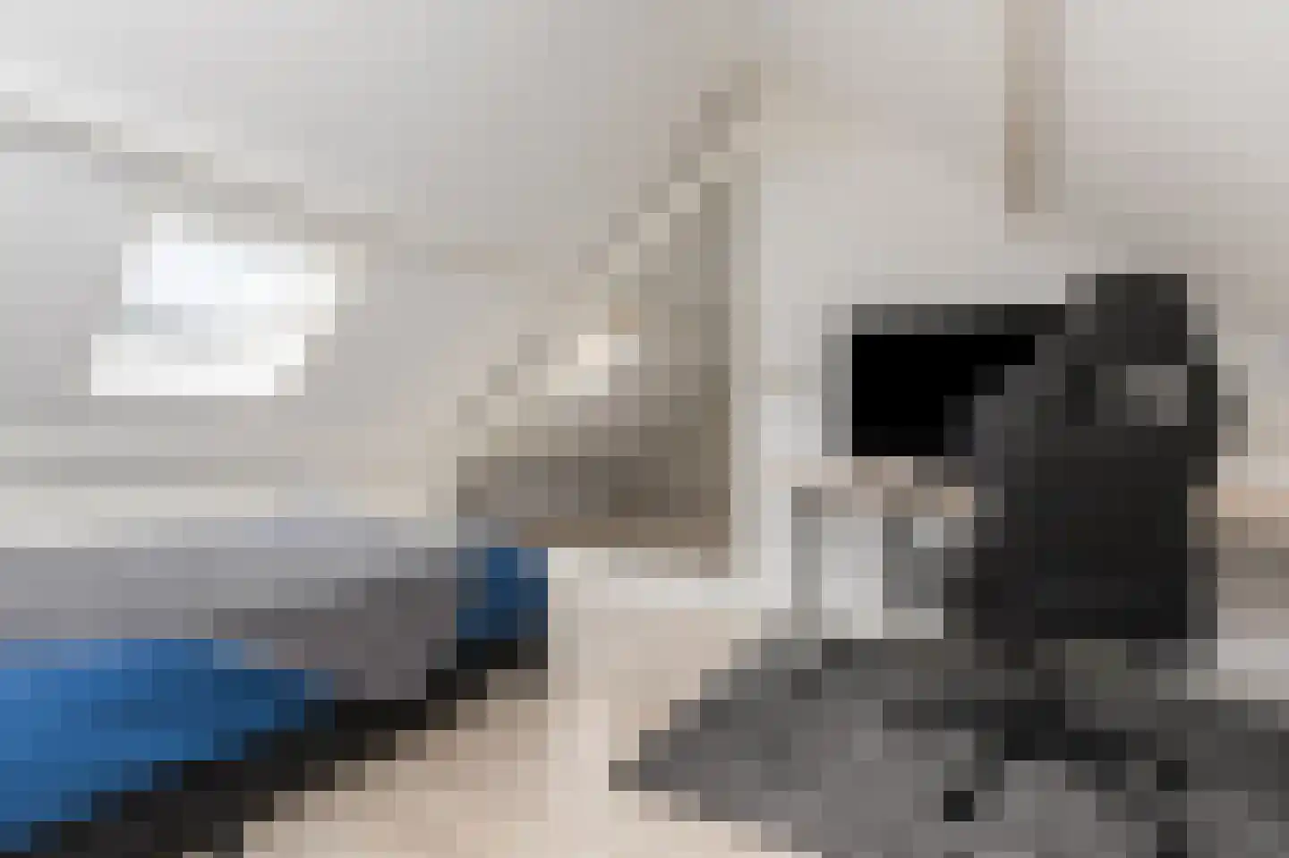 Stationsstraat 1 Hardinxveld-Giessendam thumbnail 41