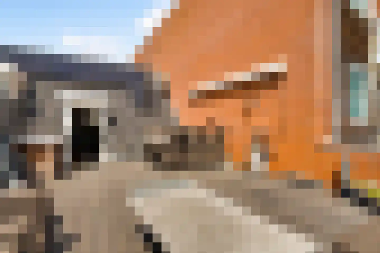 Stationsstraat 1 Heythuysen thumbnail 27