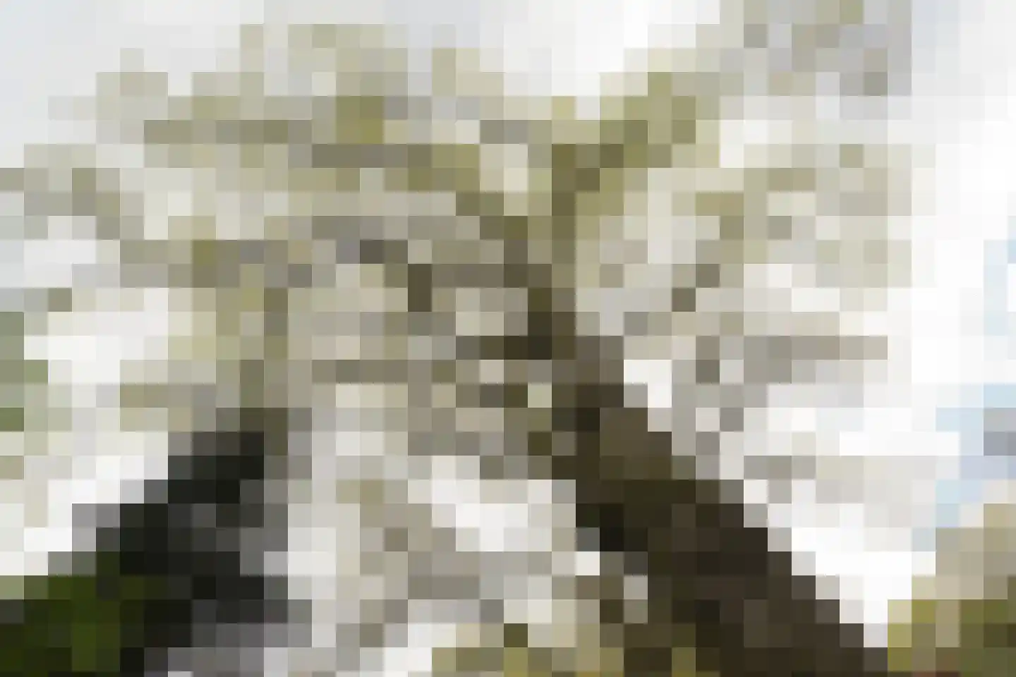 Stationsstraat 1 J Putten thumbnail 48