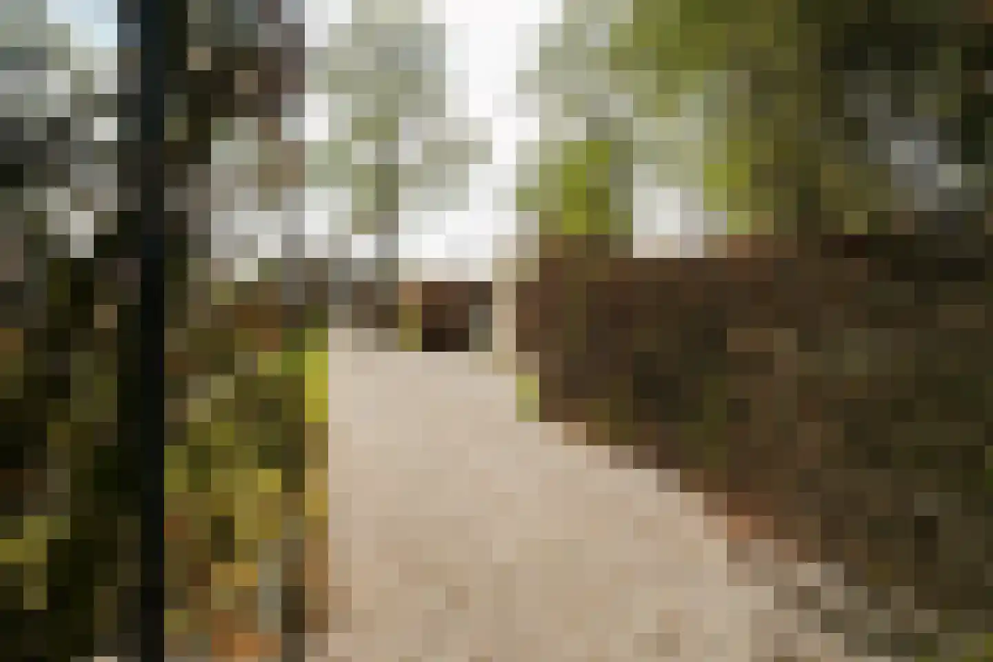 Stationsstraat 1 J Putten thumbnail 49