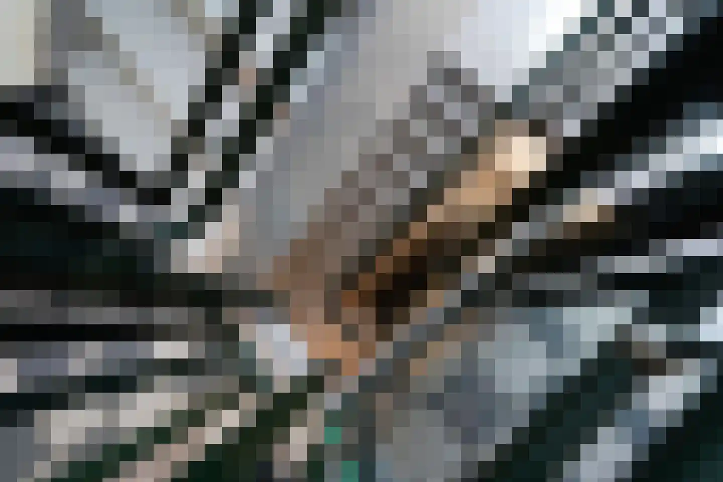 Stationsstraat 1 J Putten thumbnail 7