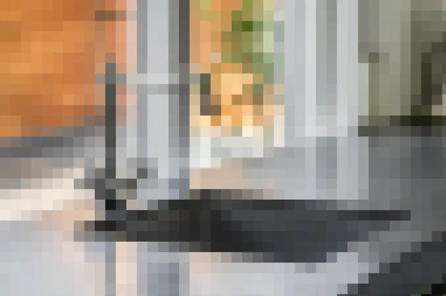 Stationsstraat 1 Veenendaal thumbnail 17