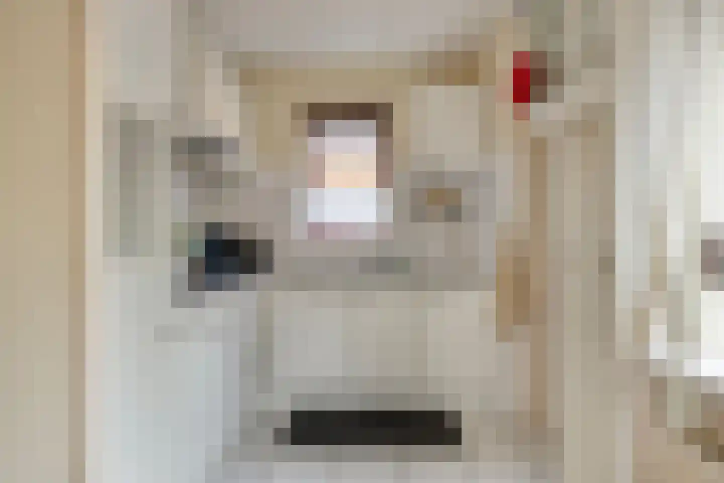 Stationsstraat 10 b Ruurlo thumbnail 16
