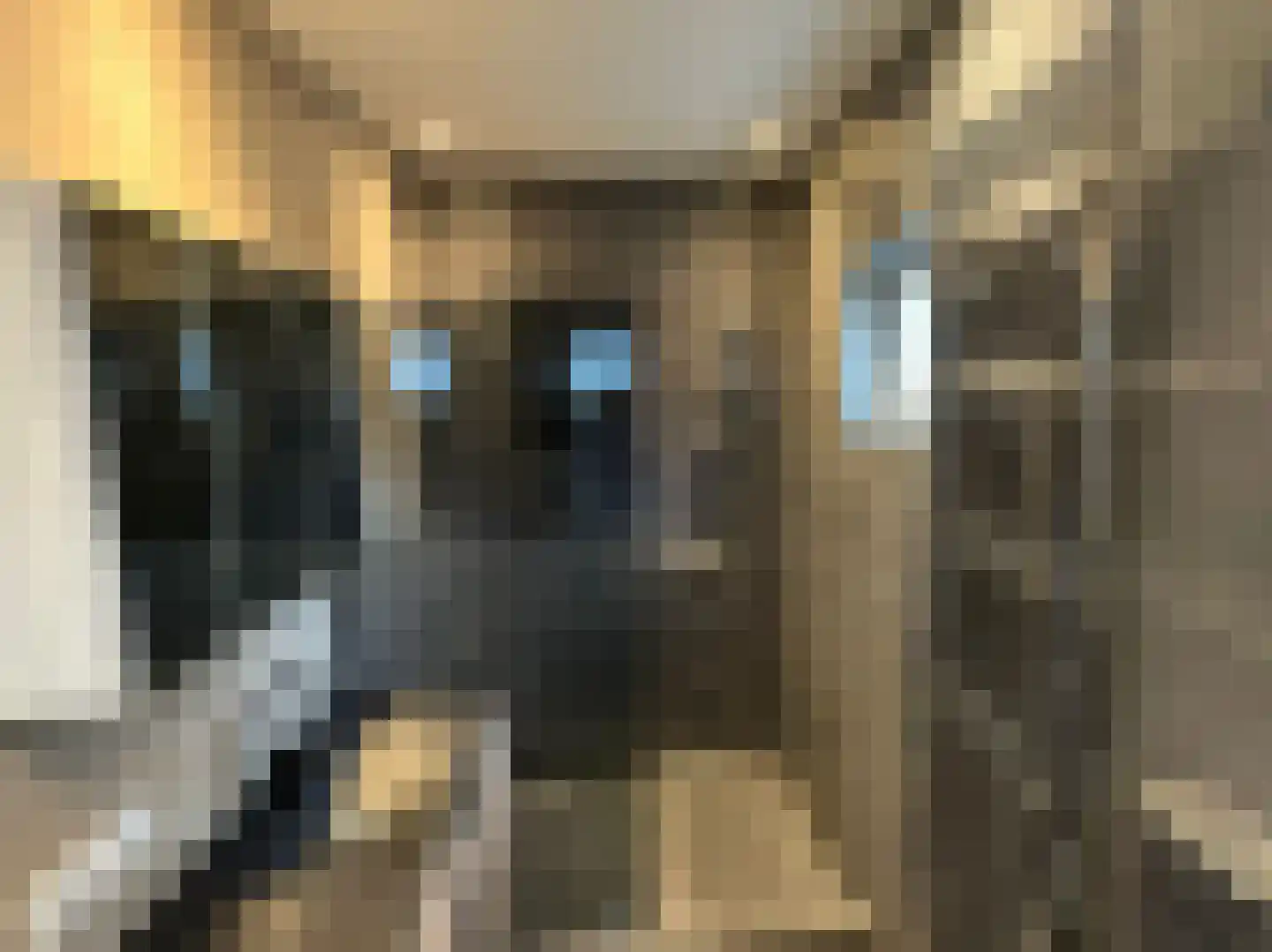 Stationsstraat 10 Dalen thumbnail 12
